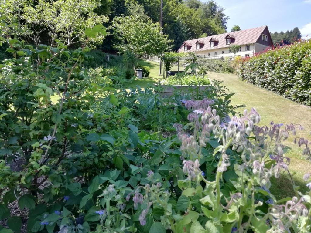 UrbeisLa Climontaine住宿加早餐旅馆 外观 照片